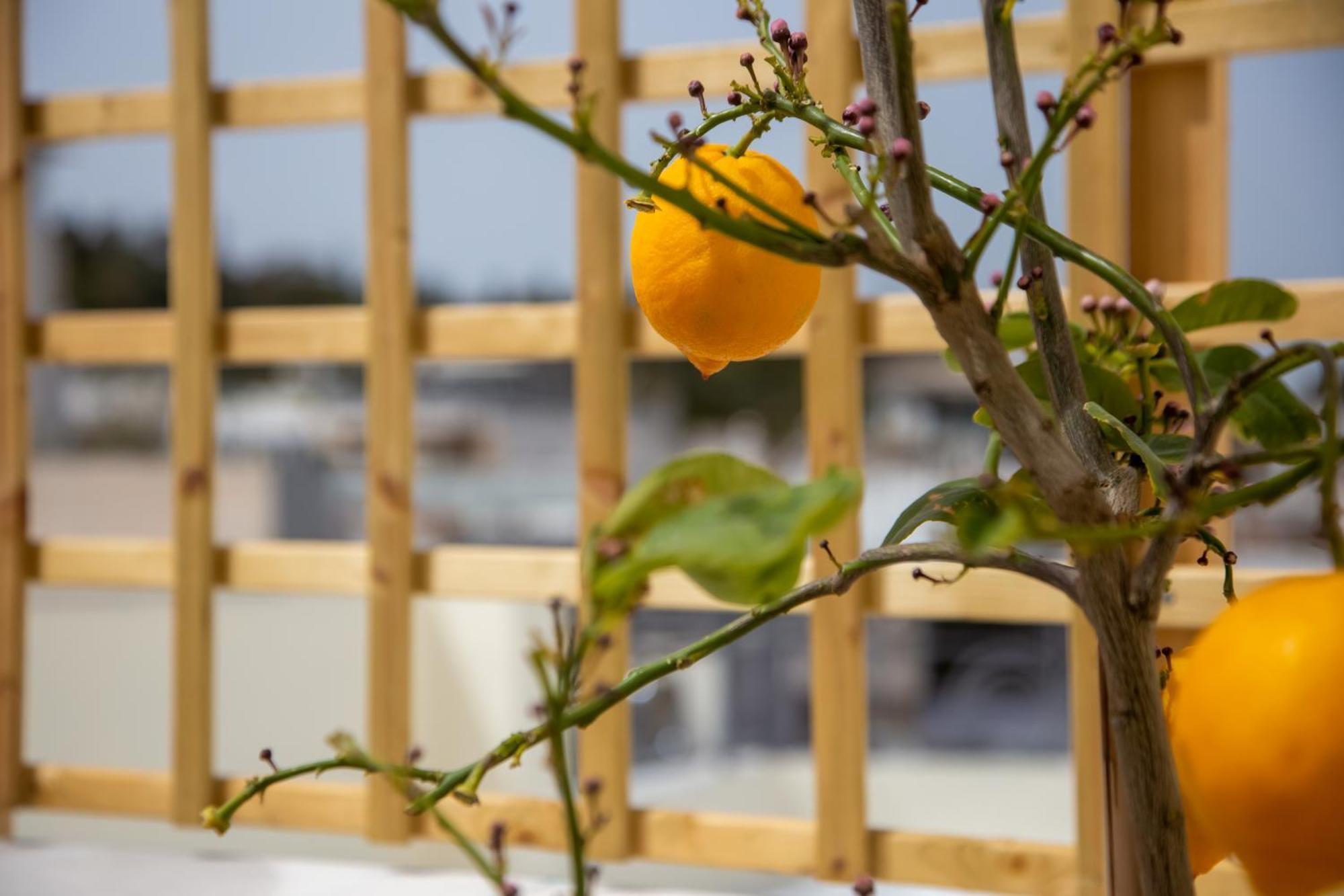 Thalia By Heloni Apartments Athens Luaran gambar